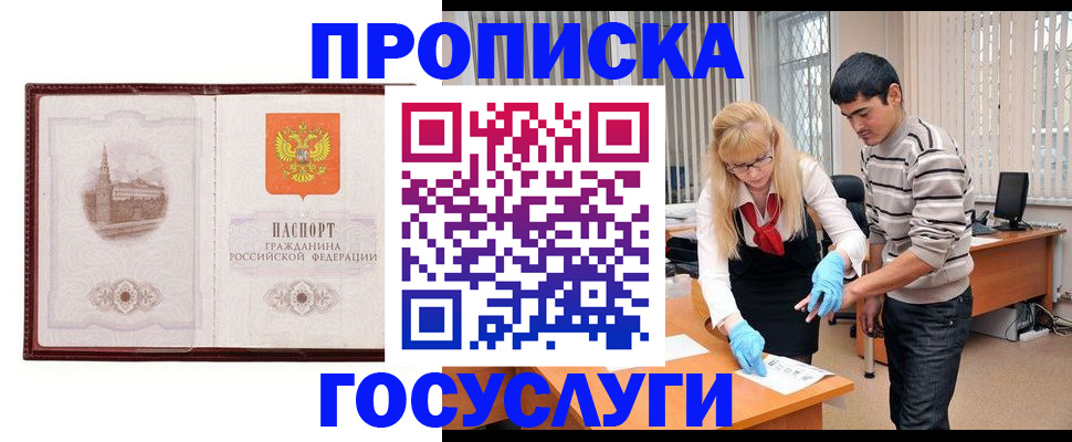 прописка 2025 в Щёлково